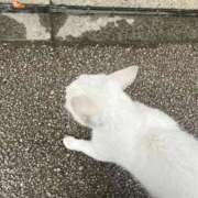 ヒメ日記 2025/12/22 22:04 投稿 ねね♡ちょっぴりMな女の子♡ Honey