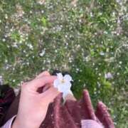 ヒメ日記 2026/04/03 22:44 投稿 ねね♡ちょっぴりMな女の子♡ Honey