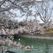 ヒメ日記 2026/04/06 10:12 投稿 ねね♡ちょっぴりMな女の子♡ Honey