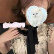 ヒメ日記 2026/04/27 00:04 投稿 ねね♡ちょっぴりMな女の子♡ Honey