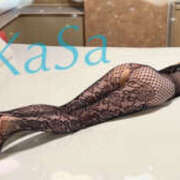 ヒメ日記 2025/09/08 10:29 投稿 みかさ やんちゃな子猫日本橋本店