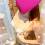 ヒメ日記 2025/09/08 16:46 投稿 みかさ やんちゃな子猫日本橋本店