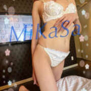 ヒメ日記 2025/09/21 17:10 投稿 みかさ やんちゃな子猫日本橋本店