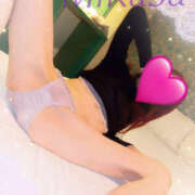 ヒメ日記 2025/10/30 10:21 投稿 みかさ やんちゃな子猫日本橋本店