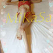 ヒメ日記 2025/11/23 09:43 投稿 みかさ やんちゃな子猫日本橋本店