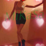 ヒメ日記 2025/11/24 16:59 投稿 みかさ やんちゃな子猫日本橋本店