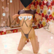 ヒメ日記 2025/12/18 10:16 投稿 みかさ やんちゃな子猫日本橋本店