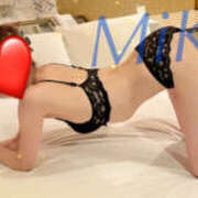 ヒメ日記 2025/12/27 16:17 投稿 みかさ やんちゃな子猫日本橋本店