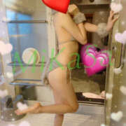 ヒメ日記 2026/02/12 16:44 投稿 みかさ やんちゃな子猫日本橋本店