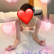 ヒメ日記 2026/02/14 08:48 投稿 みかさ やんちゃな子猫日本橋本店