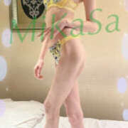 ヒメ日記 2026/03/10 16:19 投稿 みかさ やんちゃな子猫日本橋本店