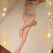 ヒメ日記 2026/04/07 16:40 投稿 みかさ やんちゃな子猫日本橋本店