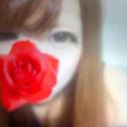 ヒメ日記 2025/06/27 16:08 投稿 るるさん Biz-ビズ-秘密の時間