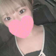 ヒメ日記 2025/06/24 15:21 投稿 るぅ やんちゃな子猫日本橋本店