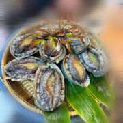 ヒメ日記 2025/11/19 09:58 投稿 りおな New Sky