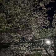 ヒメ日記 2026/04/10 08:00 投稿 りおな New Sky