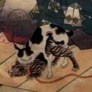 ヒメ日記 2025/08/07 19:07 投稿 ひろ 池袋千姫