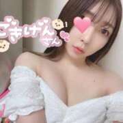 ヒメ日記 2025/06/25 20:05 投稿 りん★S級奇跡の極上美人OL★ Bell～S級美女お姉様・人妻デリヘル～