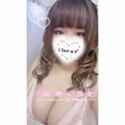 ヒメ日記 2025/08/08 12:32 投稿 ひとか 白いぽっちゃりさん