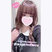 ヒメ日記 2025/09/11 12:52 投稿 ひとか 白いぽっちゃりさん