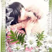 ヒメ日記 2025/07/04 22:51 投稿 すずか 千葉人妻花壇