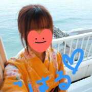 ヒメ日記 2025/08/05 14:06 投稿 心晴 モアグループ所沢人妻城