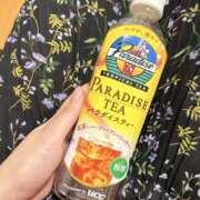 ヒメ日記 2025/08/21 13:30 投稿 ほのか 多恋人倶楽部周南店