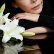 ヒメ日記 2025/11/19 12:01 投稿 一条美和 プレジデントハウス