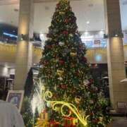 ヒメ日記 2025/11/30 17:30 投稿 一条美和 プレジデントハウス