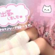 ヒメ日記 2026/01/14 13:08 投稿 みゆ ワンダフル