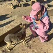 ヒメ日記 2026/02/01 11:43 投稿 みゆ ワンダフル