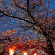 ヒメ日記 2026/03/31 18:23 投稿 あおい 錦糸町 夜這右衛門娼店～夜這・即尺・痴漢・人妻～