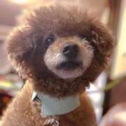 ヒメ日記 2025/07/08 18:21 投稿 あのね マリン土浦本店