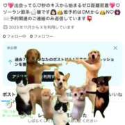 ヒメ日記 2025/10/16 13:45 投稿 あのね マリン土浦本店