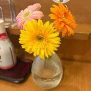 ヒメ日記 2025/11/29 16:00 投稿 巡あい(新人割引7/2まで) ウルトラグレイス24