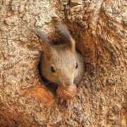 ヒメ日記 2026/02/21 11:50 投稿 巡あい(新人割引7/2まで) ウルトラグレイス24