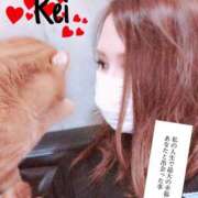 ヒメ日記 2025/08/01 09:11 投稿 れい いきなりまかさんかい