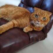 ヒメ日記 2025/08/20 09:02 投稿 れい いきなりまかさんかい