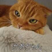 ヒメ日記 2025/09/06 16:21 投稿 れい いきなりまかさんかい