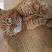 ヒメ日記 2025/09/14 08:01 投稿 れい いきなりまかさんかい