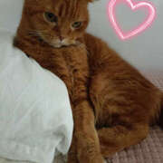 ヒメ日記 2025/09/18 08:01 投稿 れい いきなりまかさんかい