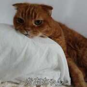 ヒメ日記 2025/09/27 10:31 投稿 れい いきなりまかさんかい