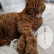 ヒメ日記 2025/10/08 13:01 投稿 れい いきなりまかさんかい