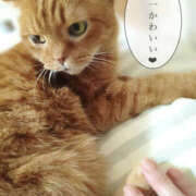 ヒメ日記 2025/10/13 19:41 投稿 れい いきなりまかさんかい