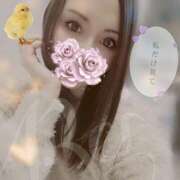 ヒメ日記 2025/10/24 17:02 投稿 れい いきなりまかさんかい