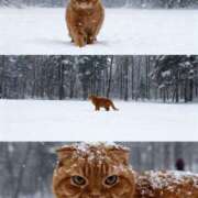 ヒメ日記 2025/11/07 08:01 投稿 れい いきなりまかさんかい