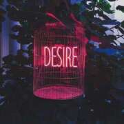 ヒメ日記 2026/03/28 20:01 投稿 れい いきなりまかさんかい