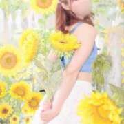 ヒメ日記 2025/07/17 08:16 投稿 百瀬心結 ローテンブルク