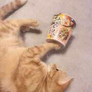 ヒメ日記 2025/07/26 20:58 投稿 百瀬心結 ローテンブルク