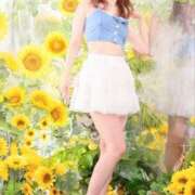 ヒメ日記 2025/07/30 08:05 投稿 百瀬心結 ローテンブルク